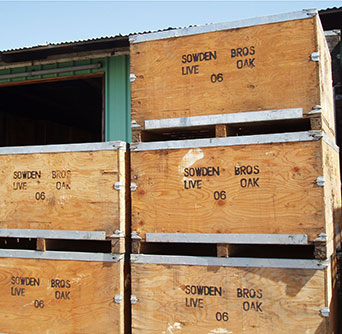 Sowden Bros Wholesale Crates